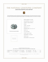 Jewelry Scan Report