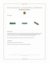 3.19 Ct. Green Tourmaline from Brazil Appraisal