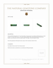 3.19 Ct. Tourmaline from Brazil Appraisal