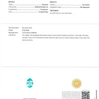 3.75 Ct. Paraiba Tourmaline from Mozambique Scan Report