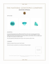0.89 Ct. Paraiba Tourmaline from Brazil Appraisal