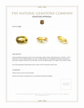 15.85 Ct. Citrine from Brazil Appraisal