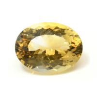 15.85 Ct. Citrine from Brazil Video
