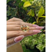 15.35 Ct. Citrine from Brazil Life Style