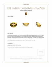 16.87 Ct. Citrine from Brazil Appraisal