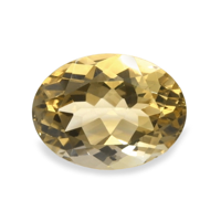18.29 Ct. Citrine from Brazil Video