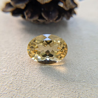 18.29 Ct. Citrine from Brazil Life Style