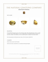 19.45 Ct. Citrine from Brazil Appraisal