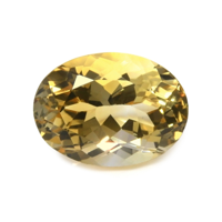 19.45 Ct. Citrine from Brazil Video