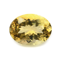 15.53 Ct. Citrine from Brazil Video