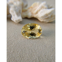 17.31 Ct. Citrine from Brazil Life Style