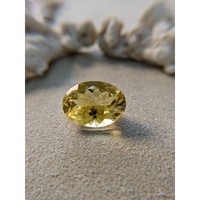 15.68 Ct. Citrine from Brazil Life Style