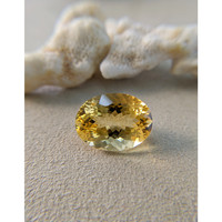 17.11 Ct. Citrine from Brazil Life Style