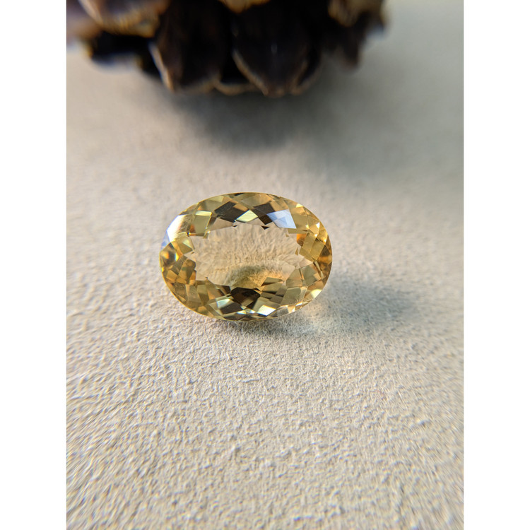 16.90 Ct. Citrine from Brazil