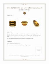 6.68 Ct. Citrine from Brazil Appraisal