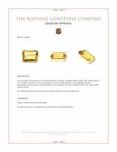 6.10 Ct. Citrine from Brazil Appraisal
