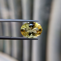 8.17 Ct. Citrine from Brazil Life Style