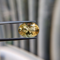 7.96 Ct. Citrine from Brazil Life Style