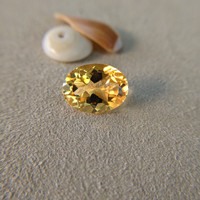 8.17 Ct. Citrine from Brazil Life Style