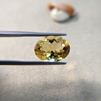 8.13 Ct. Citrine from Brazil Life Style
