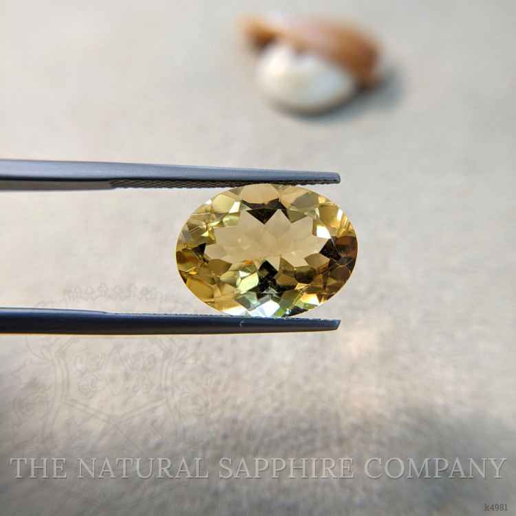 8.13 Ct. Citrine from Brazil