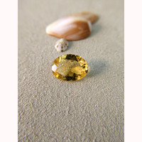 6.95 Ct. Citrine from Brazil Life Style