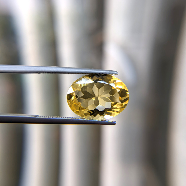 7.53 Ct. Citrine from Brazil