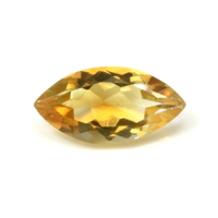 2.63 Ct. Citrine from Brazil Video