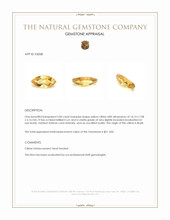 2.84 Ct. Citrine from Brazil Appraisal