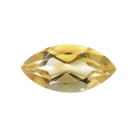 2.84 Ct. Citrine from Brazil Video