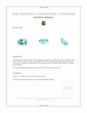 2.86 Ct. Paraiba Tourmaline from Mozambique Appraisal