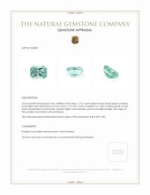 2.76 Ct. Paraiba Tourmaline from Mozambique Appraisal