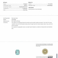 2.76 Ct. Paraiba Tourmaline from Mozambique Scan Report