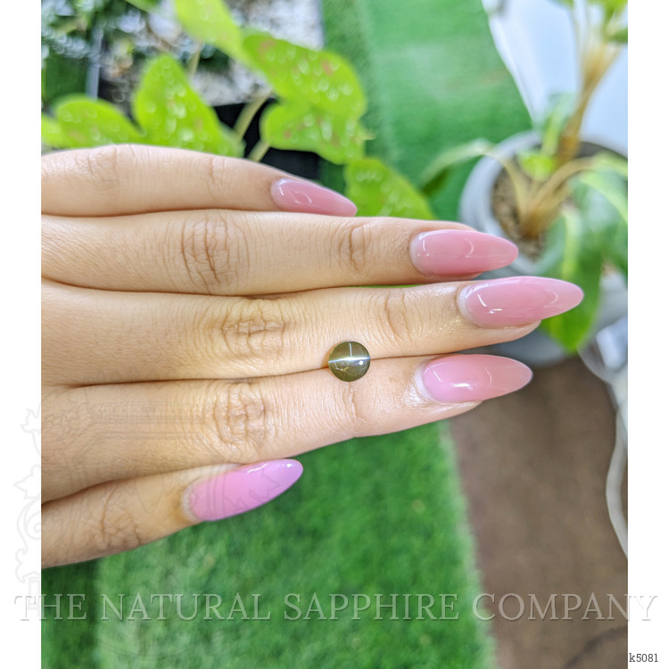 1.49 Ct. Cabochon Chrysoberyl from Ceylon (Sri Lanka)