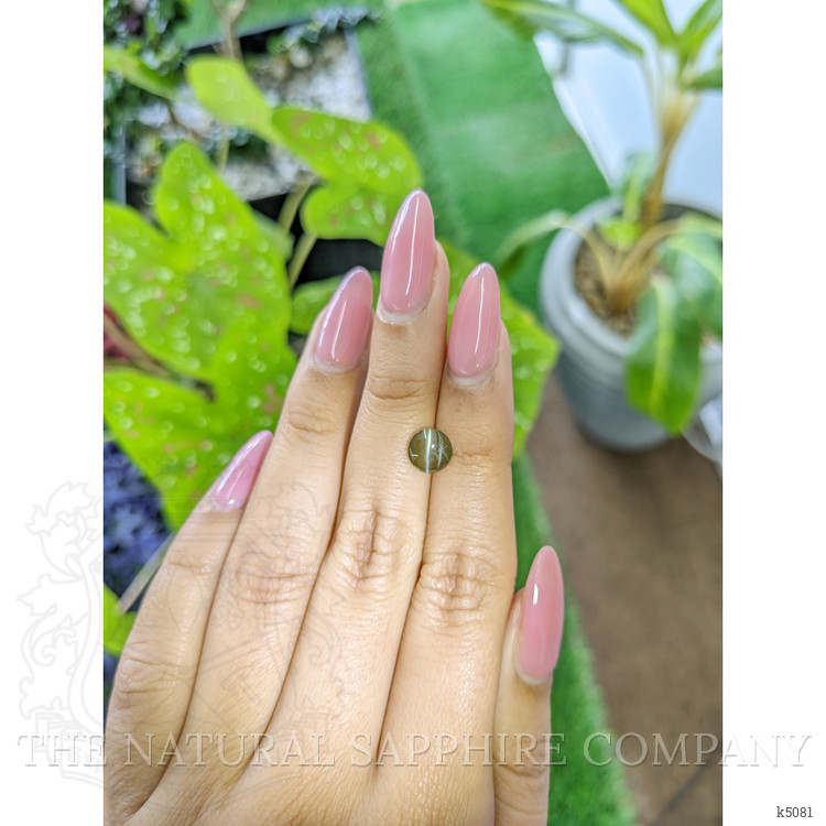 1.49 Ct. Cabochon Chrysoberyl from Ceylon (Sri Lanka)