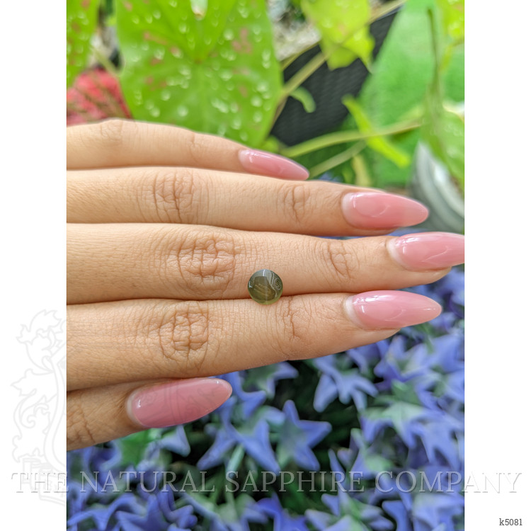 1.49 Ct. Cabochon Chrysoberyl from Ceylon (Sri Lanka)