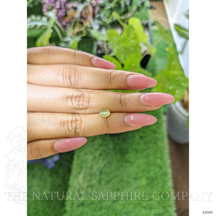 1.55 Ct. Cabochon Chrysoberyl from Ceylon (Sri Lanka)