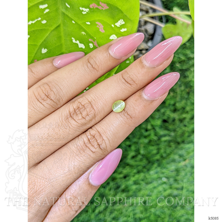 1.55 Ct. Cabochon Chrysoberyl from Ceylon (Sri Lanka)