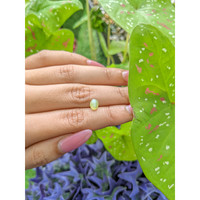 1.55 Ct. Cabochon Chrysoberyl from Ceylon (Sri Lanka) Life Style