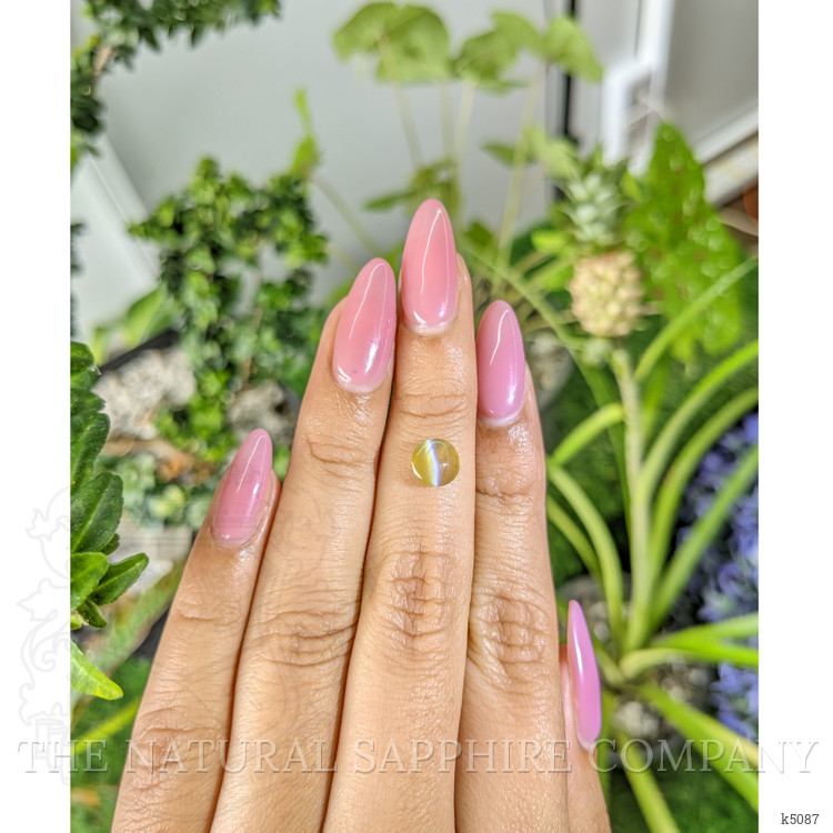 1.45 Ct. Cabochon Chrysoberyl from Ceylon (Sri Lanka)