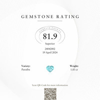 Jewelry Scan Report