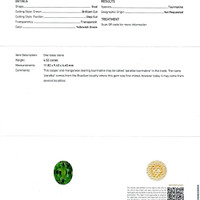 4.52 Ct. Green Paraiba Tourmaline from Mozambique Scan Report