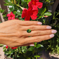 4.52 Ct. Paraiba Tourmaline from Mozambique Life Style