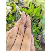 1.17 Ct. Spinel from Ceylon (Sri Lanka) Life Style