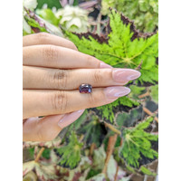 2.13 Ct. Spinel from Ceylon (Sri Lanka) Life Style