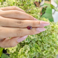 2.08 Ct. Rhodolite Garnet from Ceylon (Sri Lanka) Life Style