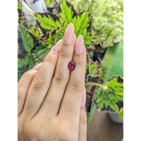 2.17 Ct. Rhodolite Garnet from Ceylon (Sri Lanka) Life Style
