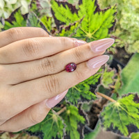 2.17 Ct. Rhodolite Garnet from Ceylon (Sri Lanka) Life Style