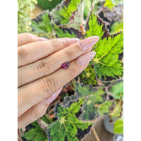0.91 Ct. Rhodolite Garnet from Ceylon (Sri Lanka) Life Style