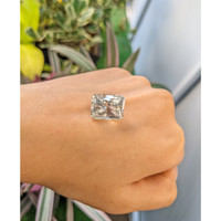 21.76 Ct. Zircon from Ceylon (Sri Lanka) Life Style